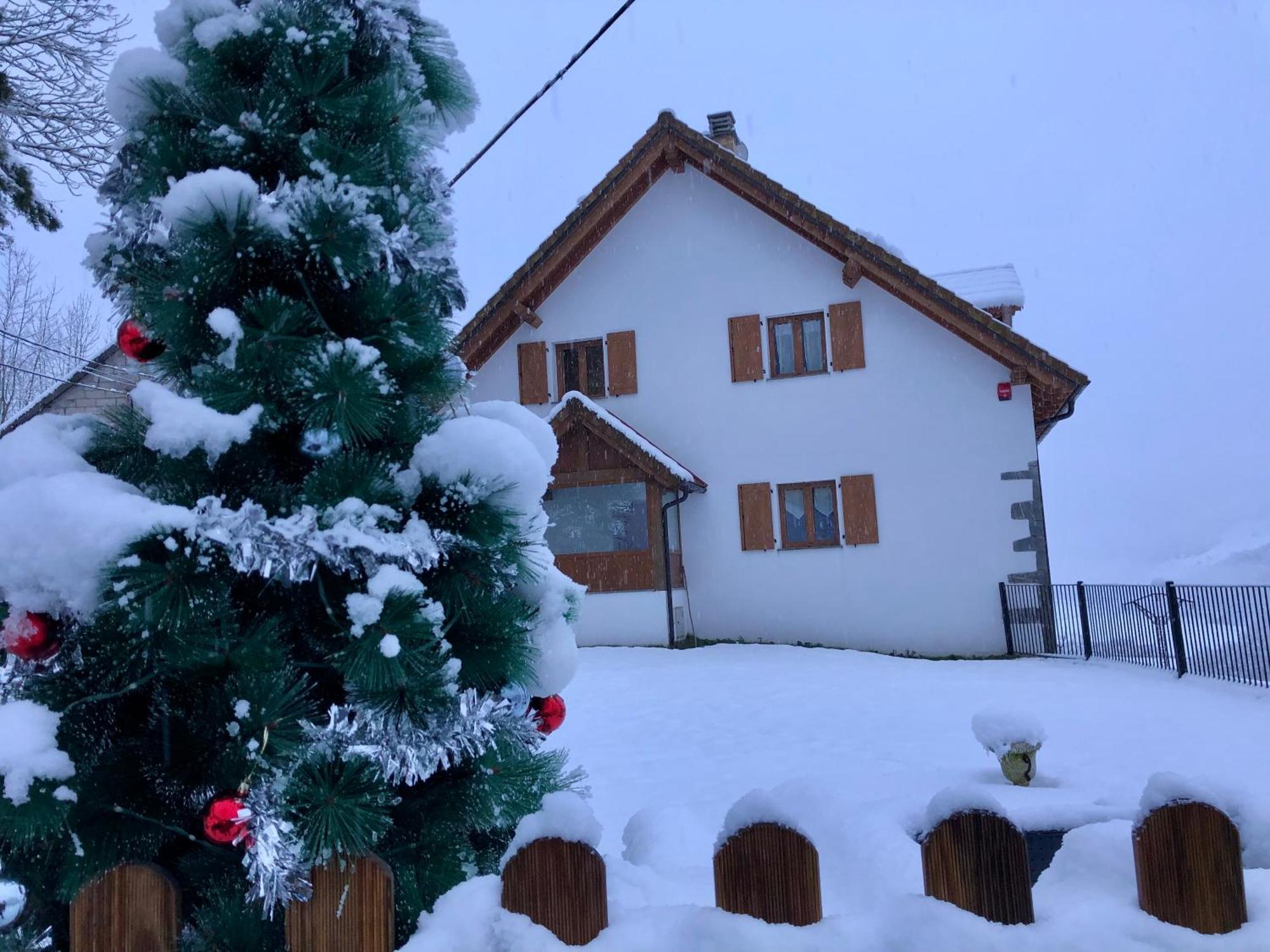 Apartamentos Zabalarena Basoa Orbaiceta Luaran gambar